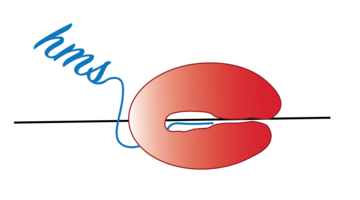 NTC logo
